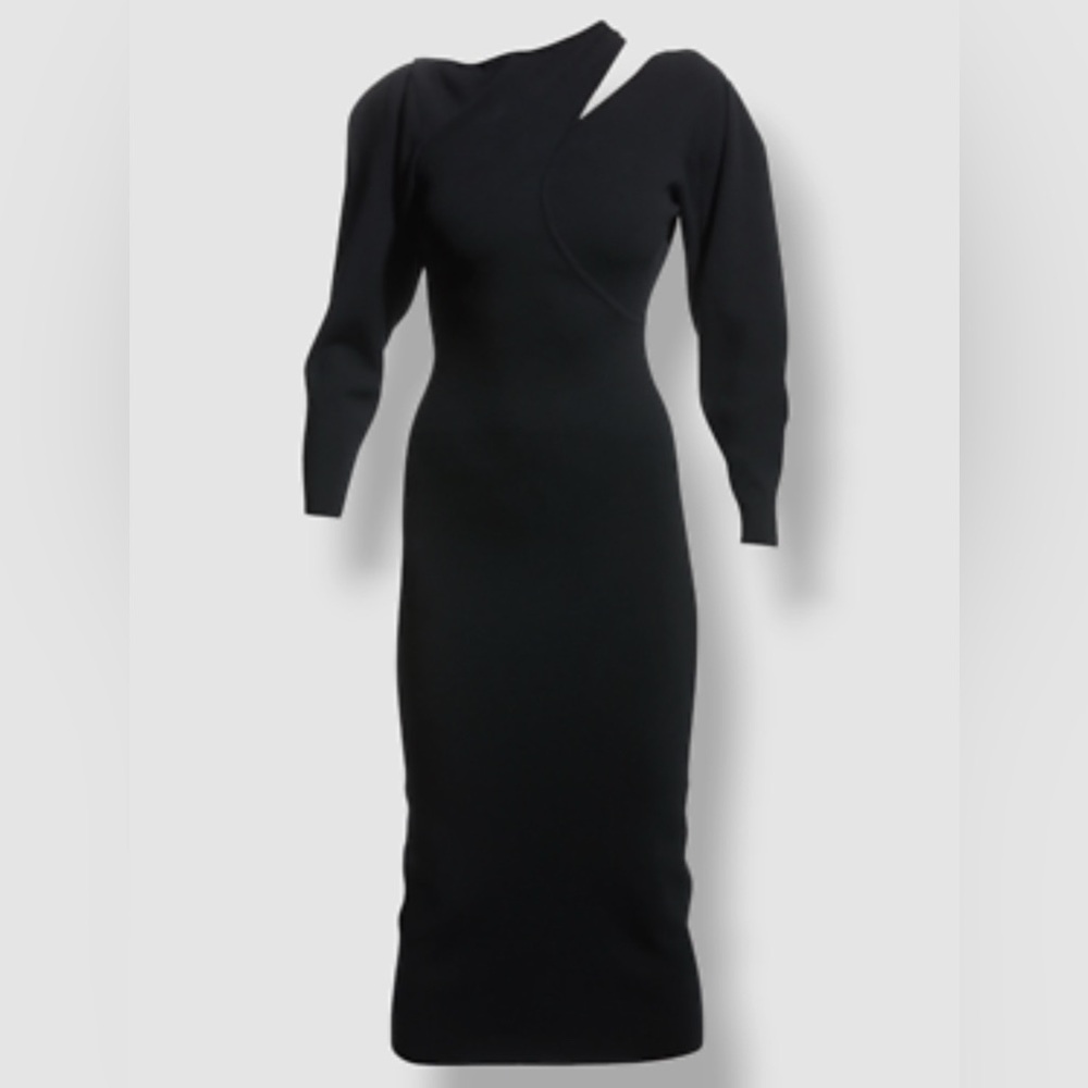 ALC sweater Dress